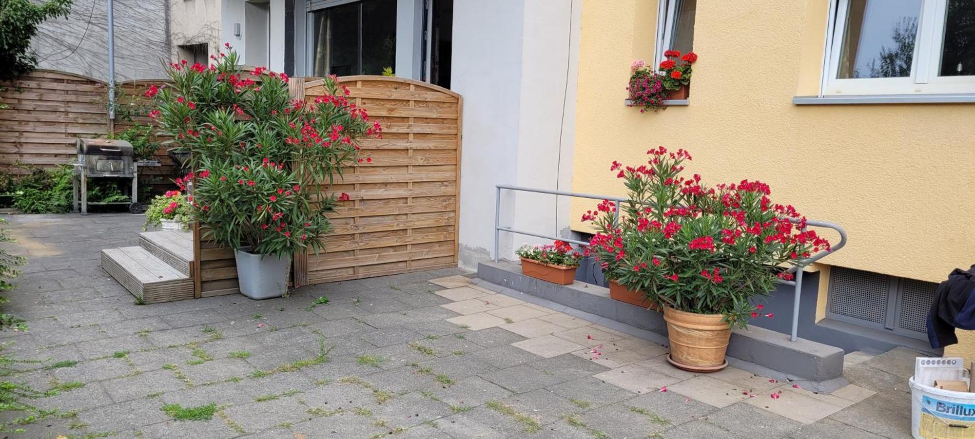 Wohnung In ダッテルン エクステリア 写真